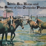 Little Sea Horse and the Story of the Ocracoke Ponies shares information about the ponies in the context of a charming story about an island girl, her pony, and her mysterious dream surrounding the ponies' origins.