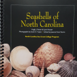 All about North Carolina Seashells, scientific information along with pictures, habitat, range & descriptions
